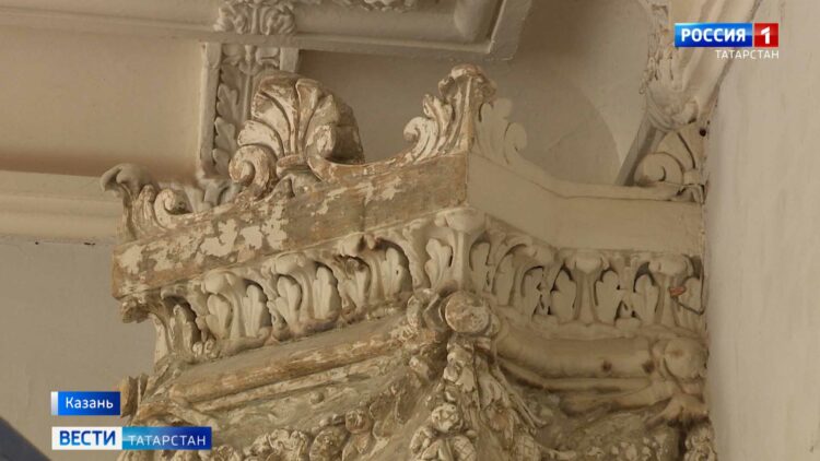 Жители Казани могут проголосовать за обустройство площадки для собак