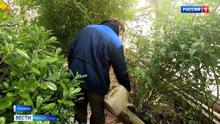 Синоптики: такой теплой весны в Татарстане не было 170 лет