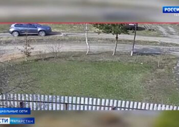 Водитель внедорожника объяснил, почему переехал собаку в Зеленодольске