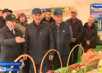 Минниханов оценил темпы весенний работ в Мамадышском и Елабужском районах