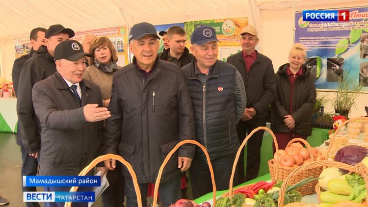 Минниханов оценил темпы весенний работ в Мамадышском и Елабужском районах