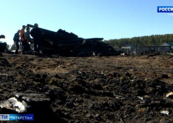 В лесах Татарстана проснулись гадюки