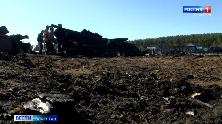 В лесах Татарстана проснулись гадюки