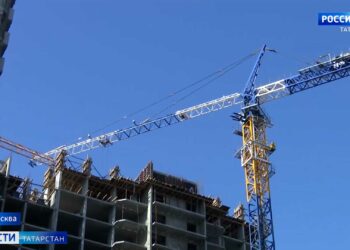 Жители Казани могут проголосовать за обустройство площадки для собак