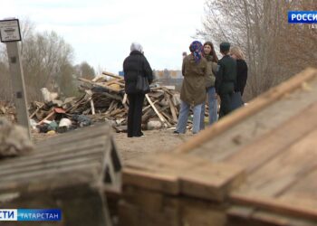 В Вахитовском районе усилят контроль за собаками после нападения на женщину с ребёнком