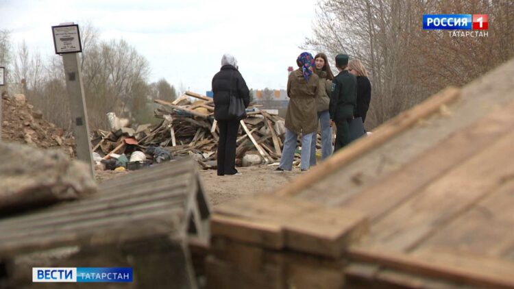 В Вахитовском районе усилят контроль за собаками после нападения на женщину с ребёнком