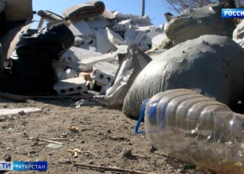 В лесах Татарстана проснулись гадюки