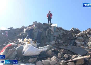 В лесах Татарстана проснулись гадюки