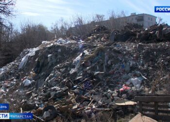 Сезон аллергии: как снизить негативное влияние