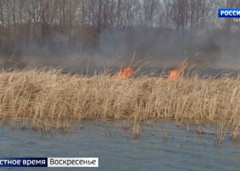 Встреча глав государств БРИКС пройдет в Казани в 2024 году