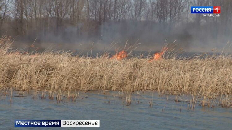 Встреча глав государств БРИКС пройдет в Казани в 2024 году