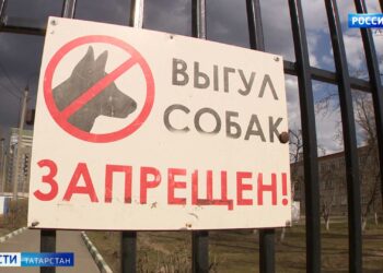 В Вахитовском районе усилят контроль за собаками после нападения на женщину с ребёнком