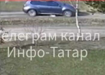 В Зеленодольске водитель намеренно переехал собаку и скрылся