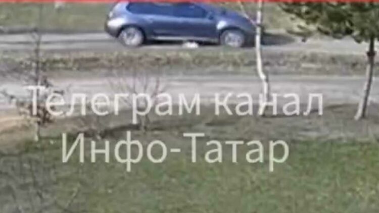 В Зеленодольске водитель намеренно переехал собаку и скрылся