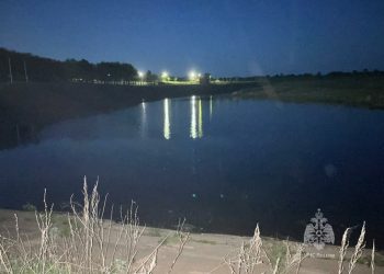 В Тукаевском районе 7-летняя девочка утонула в пруду