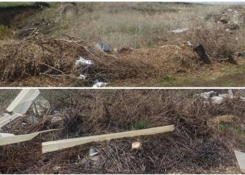 Экологи нашли незаконную свалку в Азнакаевском районе