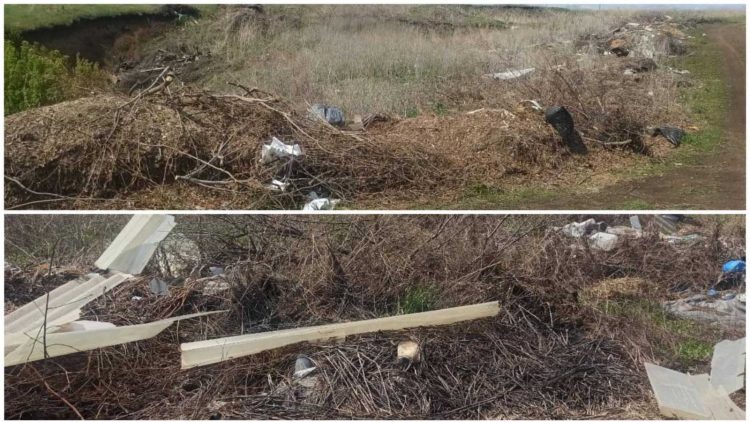 Экологи нашли незаконную свалку в Азнакаевском районе