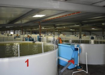 В Татарстане по нацпроекту открылась ферма по выращиванию радужной форели