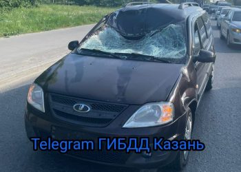 В Казани водитель Lada сбил лося