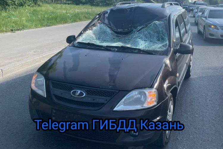 В Казани водитель Lada сбил лося