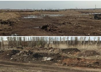 Экологи обнаружили в Азнакаево две незаконные свалки