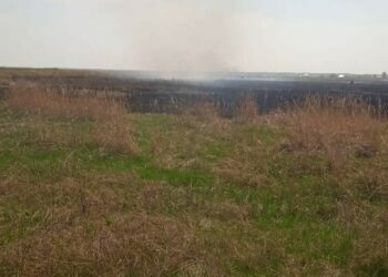 В Нижнекамске из-за загоревшейся сухой травы погиб мужчина