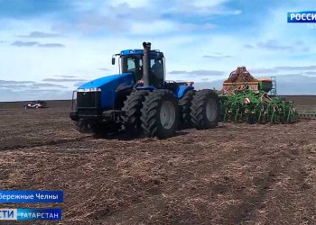 В Казани начали бороться с борщевиком