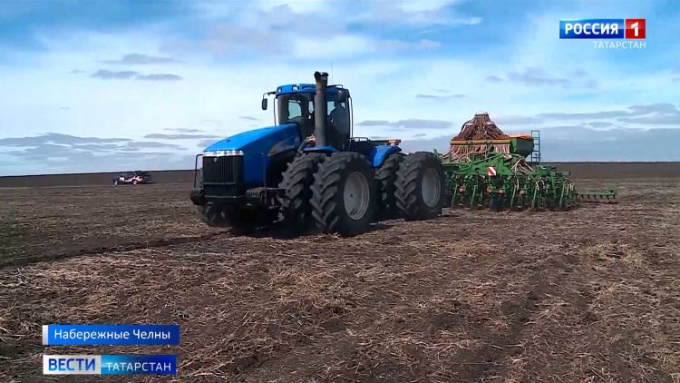 В Казани начали бороться с борщевиком