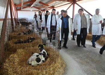 Минниханов посетил молочный комплекс в Муслюмовском районе