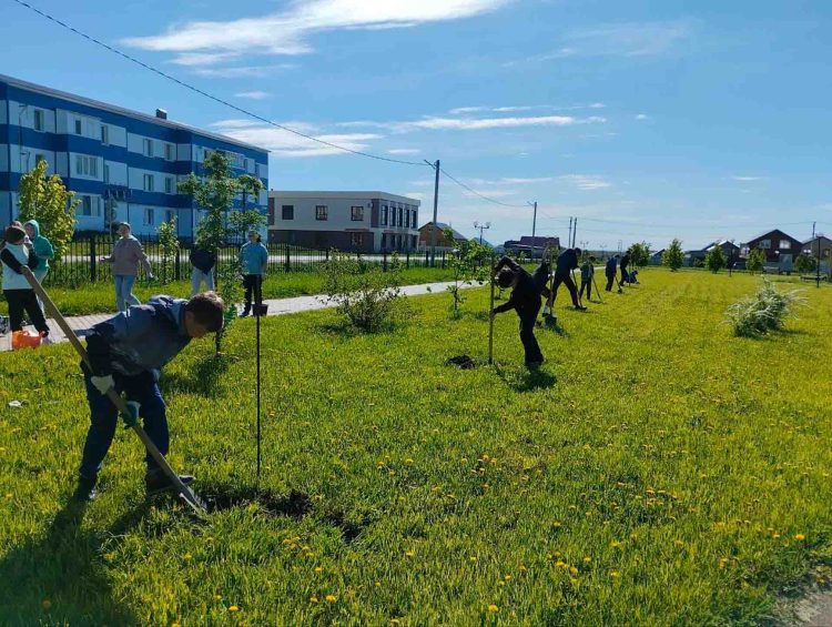 Школьники Камскоустьинской школы присоединились к акции «Сад памяти», которая проходит в рамках нацпроекта