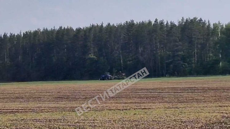 В Ютазинском районе пересеивают горох из-за заморозков
