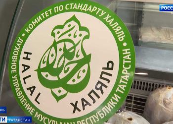 Пришлось пересеивать: в Ютазинском районе заморозки повредили 95% посевов