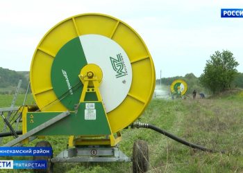 В Нижнекамске от заморозков пострадали многолетние травы