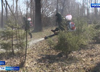 С начала сезона клещи в Татарстане покусали почти 700 детей