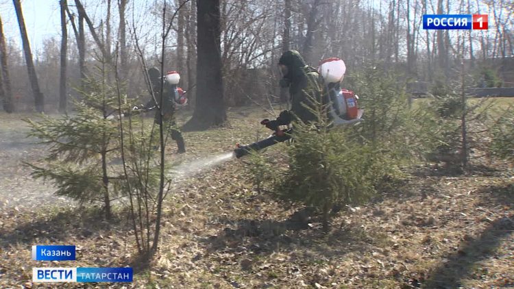 С начала сезона клещи в Татарстане покусали почти 700 детей