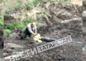 В Бугульме спасли застрявшую косулю