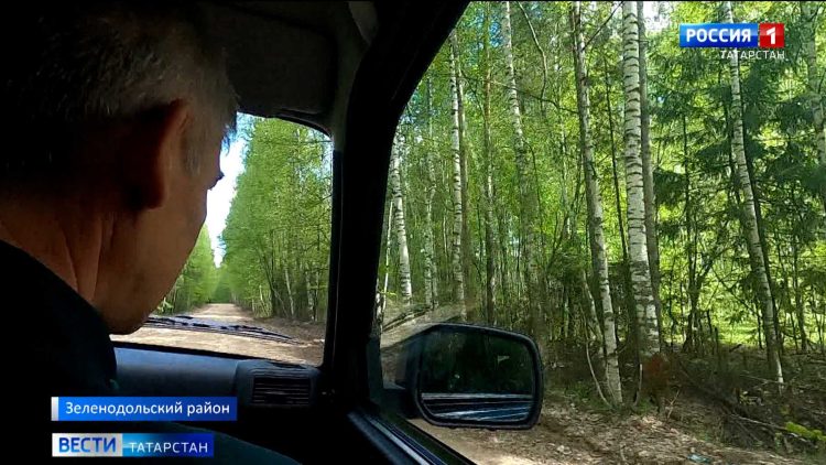 Заморозки в Татарстане: обезьянам в казанском зоопарке выдали одеяла, садоводы спасают грядки