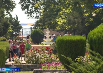 Более 5 тысяч детей из Татарстана смогут отдохнуть на Черноморском побережье
