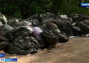 Казанцы в три раза чаще стали жаловаться на несвоевременный вывоз отходов