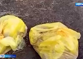 В Чистополе местные обнаружили патологоанатомические отходы на кладбище