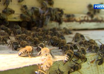 Искал данные в карточках пациентов: в Казани возбудили уголовное дело из-за стрельбы в поликлинике