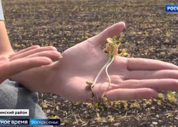 «Женский взгляд», халяльная кухня, национальные костюмы: дружеская атмосфера KazanForum собрала лучших