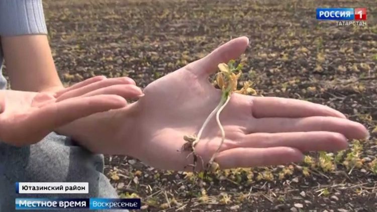 «Женский взгляд», халяльная кухня, национальные костюмы: дружеская атмосфера KazanForum собрала лучших