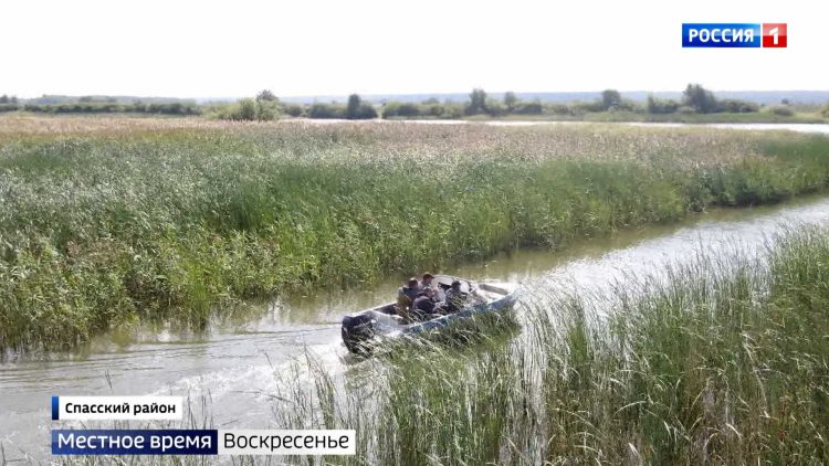 «Вести» отправились в рейд на браконьеров в госзаказник «Спасский»