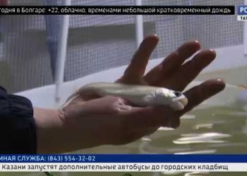 Представители «Инвестиционно-венчурного фонда РТ» посетили промпарк Буинска