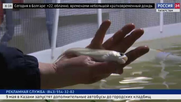 Представители «Инвестиционно-венчурного фонда РТ» посетили промпарк Буинска