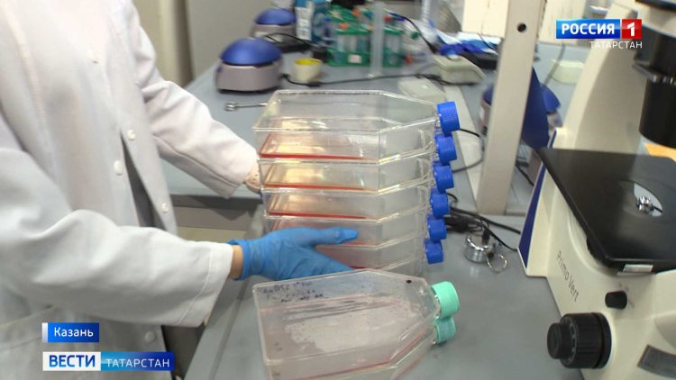 Минниханов встретился с мобилизованными и их семьями