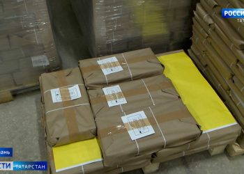 В Челнах пройдут дополнительные выборы депутата Госсовета Республики Татарстан