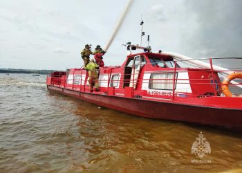 На острове Зелёный потушили пожар площадью до 100 кв.м