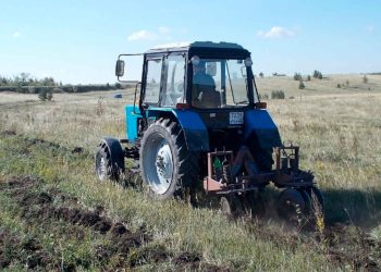 В Татарстане по нацпроекту выполнены работы по агротехническому уходу за лесными культурами